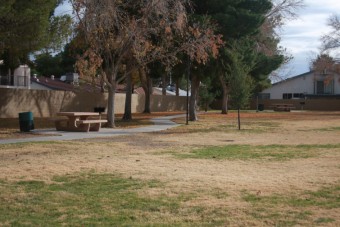 Photo of Laurelwood Park Loop Path