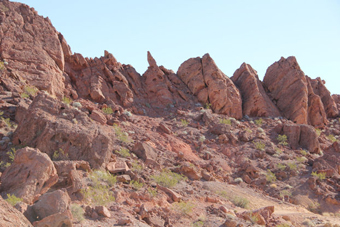 Photo of Lava Butte Trail