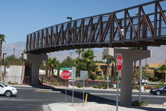 Photo of Lone Mountain Trail