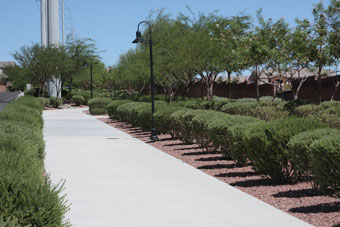 Photo of Cliff Shadows Paseo