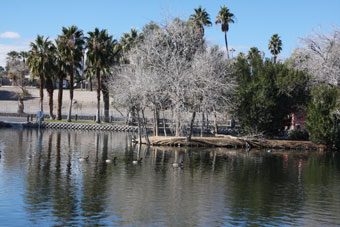 Photo of Lorenzi Park Trails