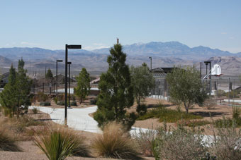 Photo of Madeira Canyon Park Loop Trail