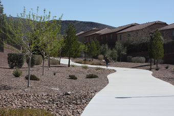 Photo of Madeira Canyon Trail