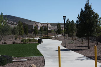 Photo of Madeira Canyon Trail