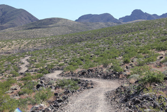 Photo of McCullough Hills Trail