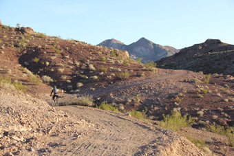 Photo of McCullough Hills Trail