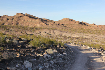 Photo of McCullough Hills Trail