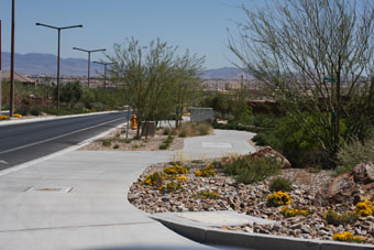 Photo of Mesa Park Drive Trail