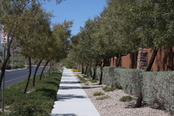 Photo of Mesa Park Drive Trail