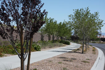 Photo of Mesa Park Drive Trail