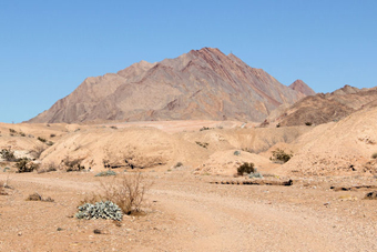 Photo of Middle Wash Trail