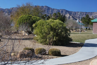 Photo of Mountain Crest Park Loop Trail