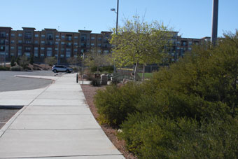 Photo of Mountain Ridge Park Loop Trail