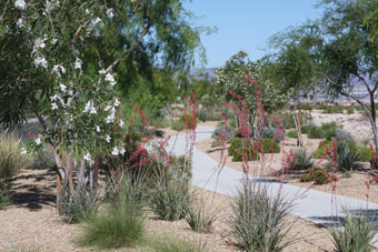 Photo of Mountain's Edge Parkway Trail