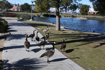 Photo of Nature Discovery Park Loop Trail