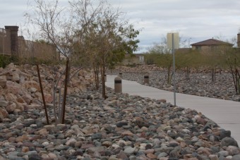 Photo of Nevada Trails Wash Trail