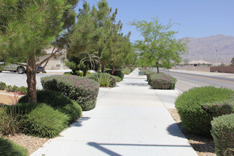 Photo of North Bradley Road Trail