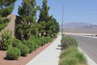 Photo of North Durango Drive Trail