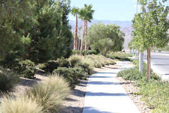 Photo of North Jones Boulevard Trail