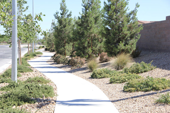 Photo of North Jones Boulevard Trail