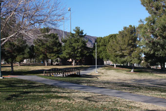 Photo of O'Callaghan Park Loop Trail