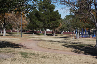 Photo of Paradise Park Loop Trail