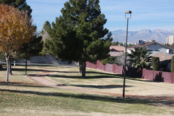 Photo of Paradise Park Loop Trail