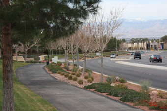 Photo of Green Valley Ranch Trail