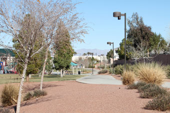 Photo of Paseo Vista Park Loop Trail