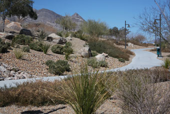 Photo of Paseos Wash Trail