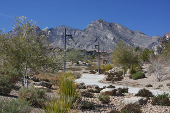 Photo of Paseos Wash Trail