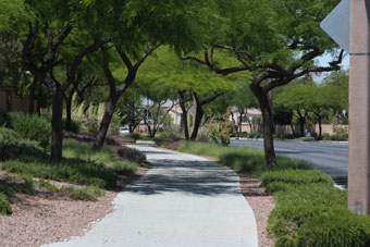 Photo of Pavilion Center Drive Trail