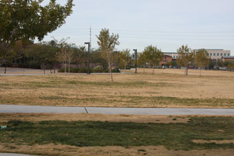 Photo of Pebble Park Loop Trail