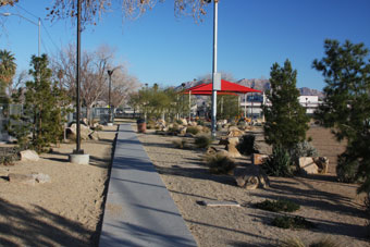 Photo of Petitti Park Loop Trail