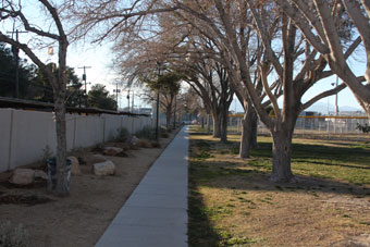 Photo of Petitti Park Loop Trail