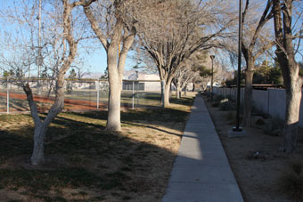 Photo of Petitti Park Loop Trail