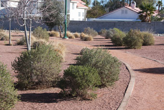 Photo of Pioneer Park Loop Trail