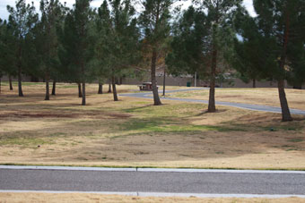 Photo of Prosperity Park Loop Trail