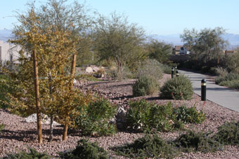 Photo of Providence Promenade Trail