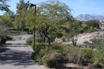 Photo of Pueblo Park Arroyo Trail