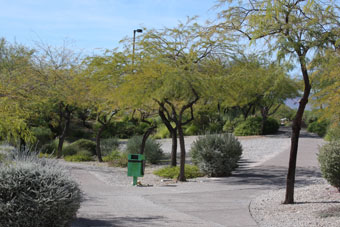 Photo of Pueblo Park Arroyo Trail