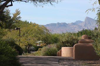 Photo of Pueblo Park Arroyo Trail