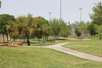 Photo of Rainbow Family Park Loop Trail