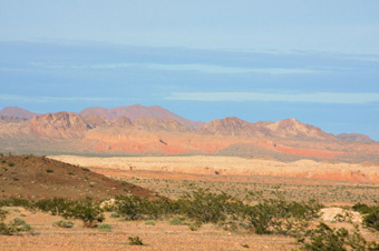 Photo of Rainbow Gardens Trail