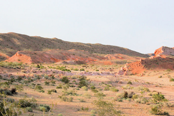 Photo of Rainbow Gardens Trail