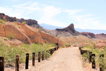 Photo of Rainbow Gardens Trail