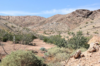 Photo of Rainbow Gardens Trail