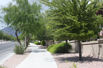 Photo of Rampart Drive Trail