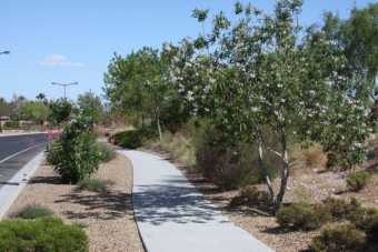 Photo of Red Rock Ranch Road/W. Flamingo Trail