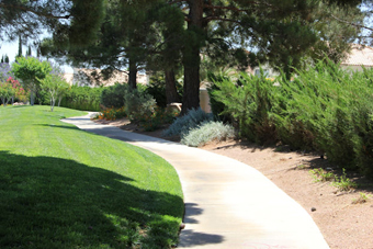 Photo of Regatta Drive Trail